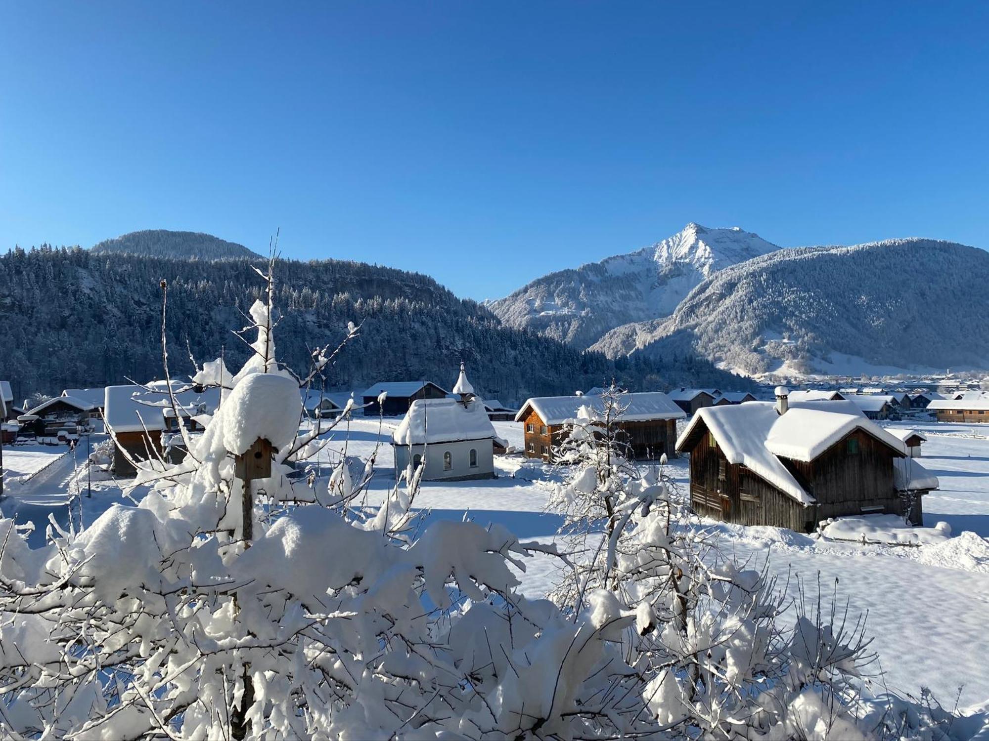 Bregenzerwaelderhaus Ambros Villa Bezau Exteriör bild