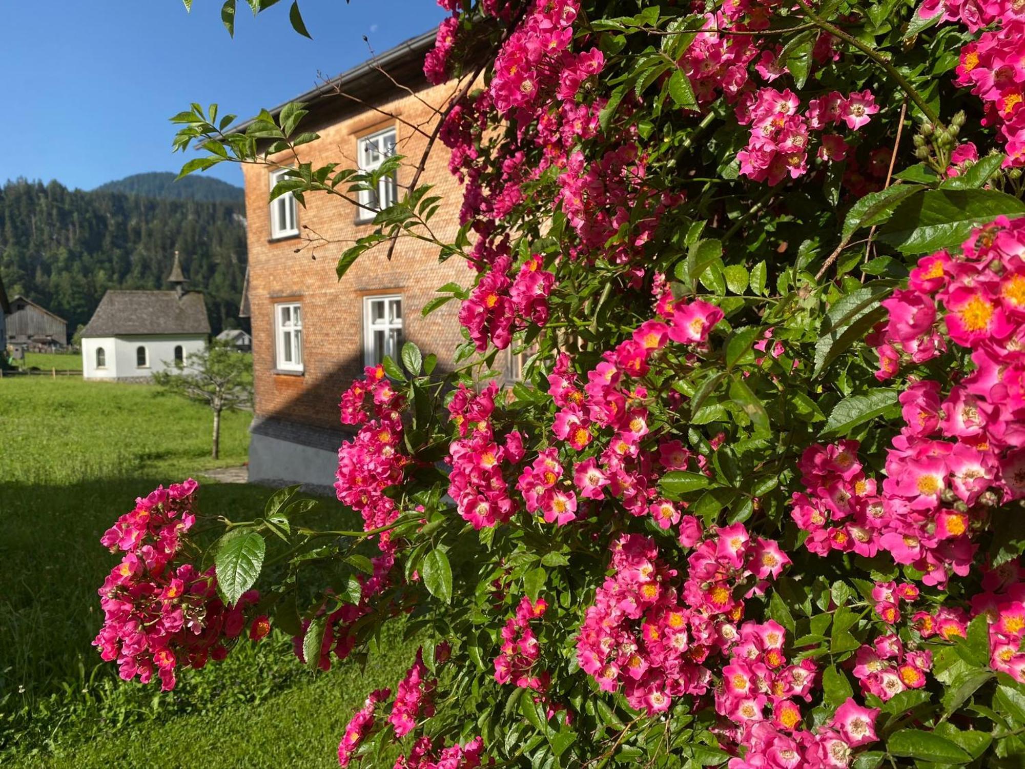 Bregenzerwaelderhaus Ambros Villa Bezau Exteriör bild