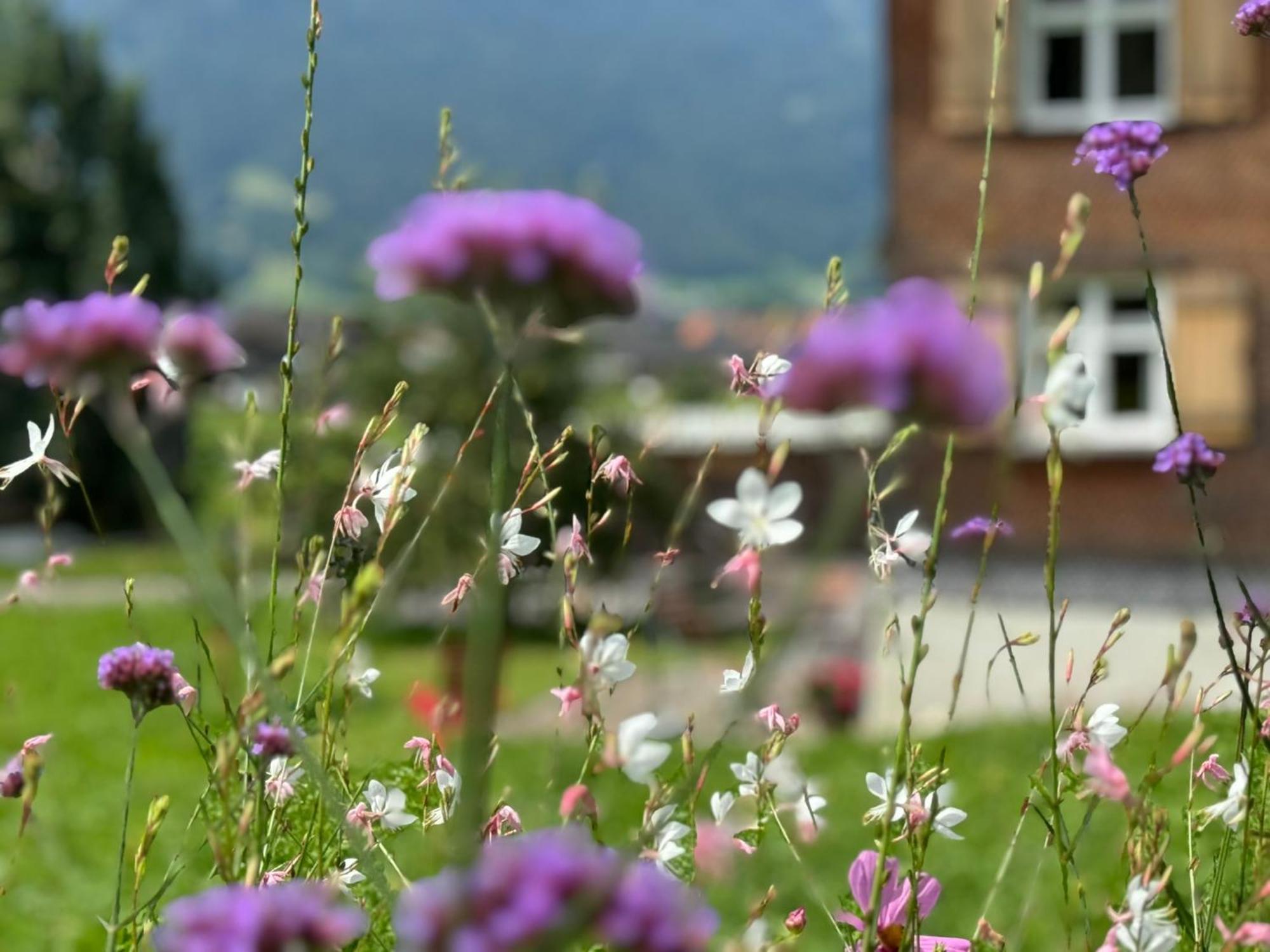 Bregenzerwaelderhaus Ambros Villa Bezau Exteriör bild